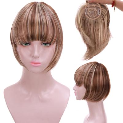 China Fashion Factory Wholesale Heat Resistant Synthetic Straight Hair Bangs Synthetic Hair Extensions For Women for sale