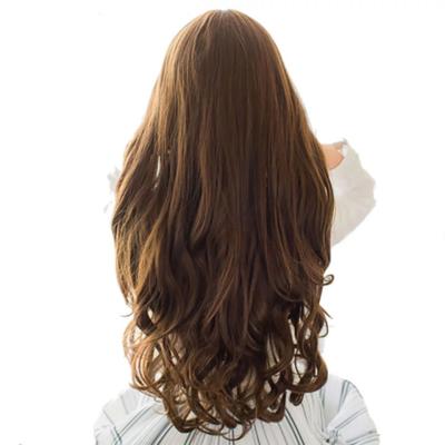 China Sales Long Curly Hair Soft Clean High Temperature Fiber Seamless Hair Extensions Clips for sale