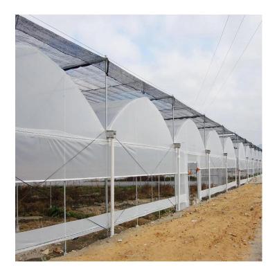 China Stable Structure Easily Assembled Low Cost Cheap Chinese Plastic Sheet Greenhouse For Sale Multi-span Greenhouses Agricultural Greenhouses for sale