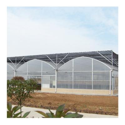 China Stable Structure Easily Assembled Polycarbonate Chinese Agricultural Greenhouse Multi-span Greenhouses Vertical Greenhouses Farm for sale