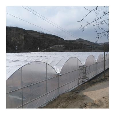 China Stable Structure Easily Assembled Multi-span Chinese Greenhouses Agriculture Products Polypropylene Agriculture Polycarbonate Greenhouse for sale