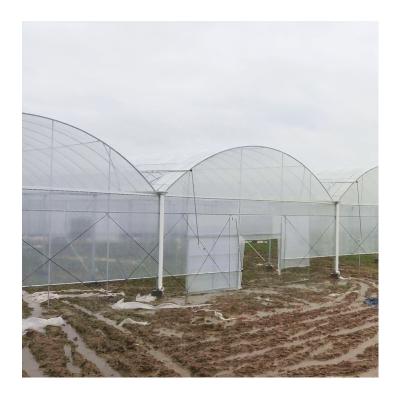 China Stable Structure Easily Assembled High Quality Green House Equipment Tunnel Greenhouse Kit Microgreen System Greenhouse Clamp for sale