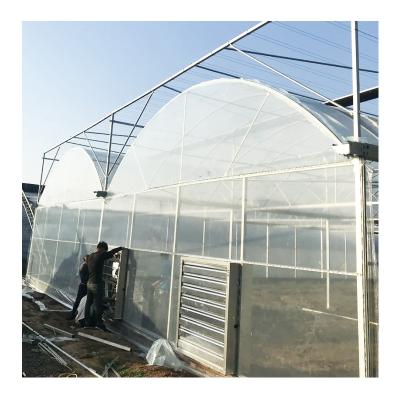 China Stable Structure Easily Assembled Hot Sale Container Farm Nft View Greenhouse Film Greenhouse Kit Greenhouse Clamp for sale