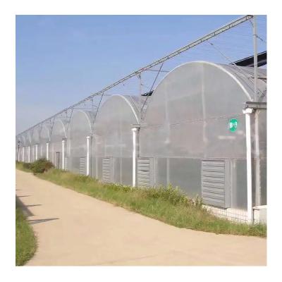 China Stable Structure Easily Collected High Quality Polycarbonate Greenhouse Multi-span Greenhouses Agricultural Greenhouses Mushrooms for sale