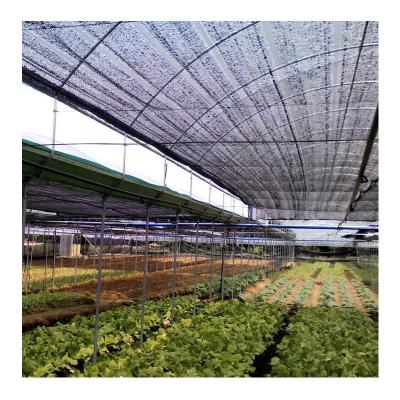 China ZD-DP13 Vegetable Fruit Flowers Galvanize Steel Frame Greenhouse For Sale for sale