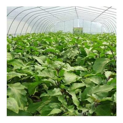 China ZD-DP14 Fruit Flowers ZD-DP14 Customized Size Customized Size Light Deprivation Greenhouse All Automatic Blackout System Medicinal Plants Growing Tent for sale