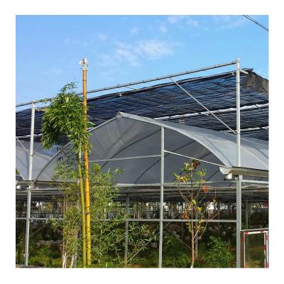 China ZD-DP18 Galvanized Iron Gi Steel Pipe Steel Pipe Structure Vegetable Greenhouse Greenhouse Flowers Fruit Float Glass Tempering Greenhouse For Tomato for sale