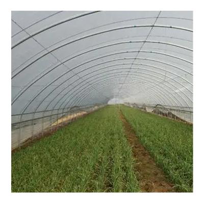 China Manufacturers multi-span tomato green house professional agricultural structure greenhouse beautiful growing flowers ZD price for sale for sale