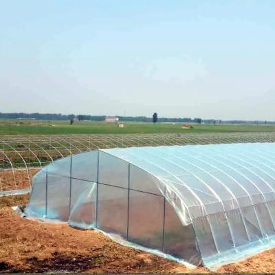 China Fruit Vegetable Flowers China Sale Greenhouses For Garden Greenhouses Chinese Insect Net Greenhouse for sale