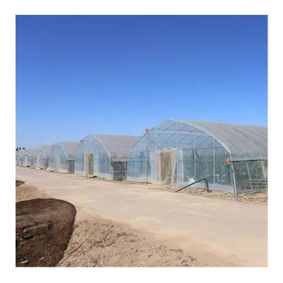 China Single-span Vegetable Greenhouses Factory Outlet China Flower Fruit Greenhouses Chinese Green Houses Agriculture Commercial for sale