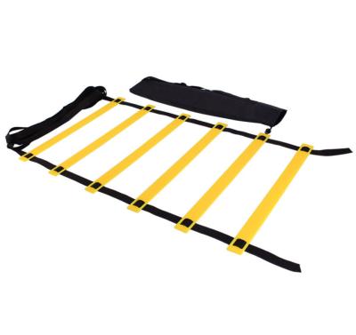 China Durable Hot Selling Football Speed ​​Ladder Agility Ladder For Training for sale