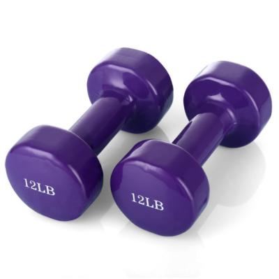 China Comfortable Wholesale Fitness Equipment Rubber Dumbbell For Home Gym for sale