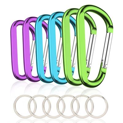 China Multifunctional Large D Ring Carabiner Keychain Clip Aluminum Caribeener Metal Key Clip Carabeaner Buckle Free Aluminum Hook Holder for sale