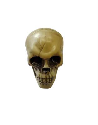 China Europe Manufacturers Halloween Crafts Plastic Skulls Frames Custom Gifts For Party Vibe Decorations for sale