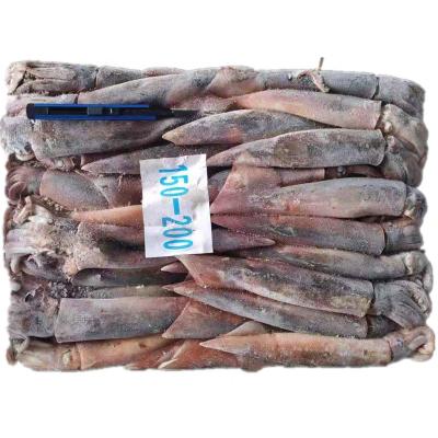 China Nutritious Illex Squid Argentina Illex Frozen Squid 100-150 150-200 200-300 for sale