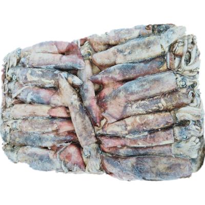 China Nutritious Good Quality Whole Round Indian Ocean Frozen Squid Indian Ocean for sale