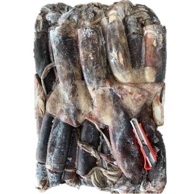 China Giant Squid Peru gigas dosidicus whole round of nutritious frozen giant squid prices for sale