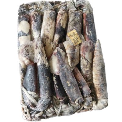 China Nutritious Whole Round Frozen Price 300-500 500-1000 Peru giant squid gigas dosidicus giant squid for sale