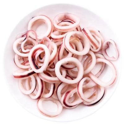 China black squid ring giant squid ring illex squid ring todarodes nutritious frozen frozen squid ring on for sale