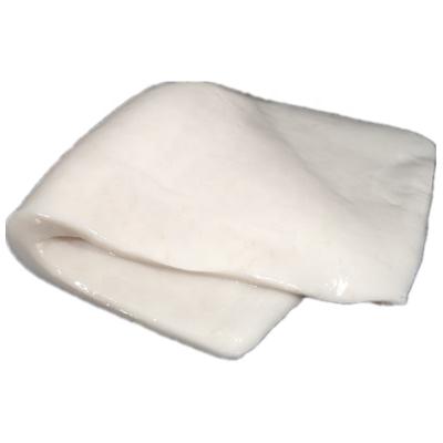 China Giant Squid Fillet Nutritious Frozen Giant Squid Meat for sale