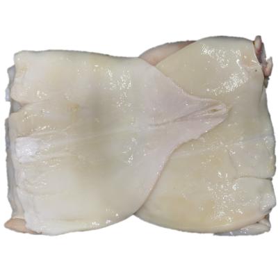 China Indian Ocean nutritious squid bandage frozen giant squid fillet skin for sale