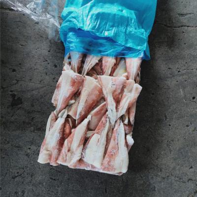 China High Nutritious Frozen Giant Squid Tip Indian Ocean Squid Tail for sale