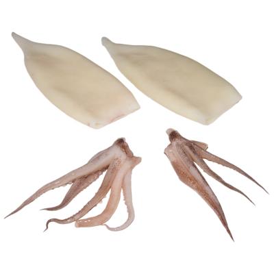 China Nutritious Frozen Todarodes Pacificus Squid T+T Squid T+T Tube&Tentacle for sale