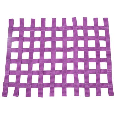 China Certified Sports Multiple Color SFI 27.1 Racing Car Safety Window Net Car Interior Accessories for sale