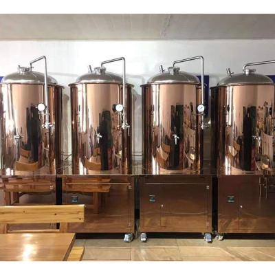 China homebrewing beer brewing stainless steel 500l tank beer brewing fermentation equipment for sale