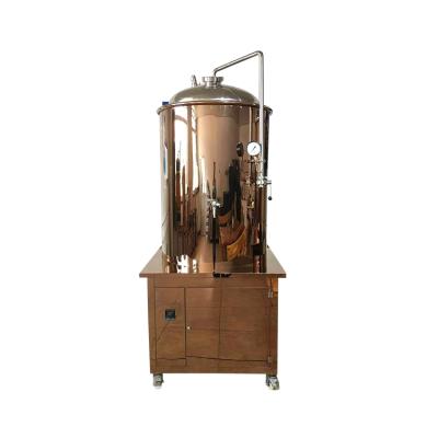 China Wholesale Beer Brewing Home Brew Beer Kit Beer Making Machinery Equipment for sale