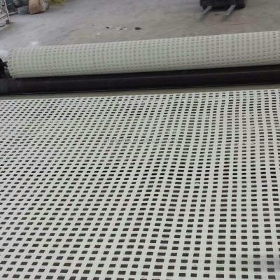 China Modern HDPE Polyester Geogrid Soaking Widening And Placing Production Line for sale