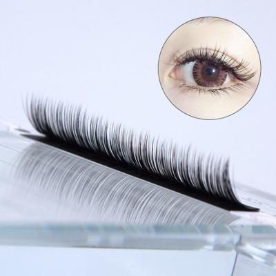 China Long False Individual Soft Natural Mink Eyelashes Extension Professional for sale