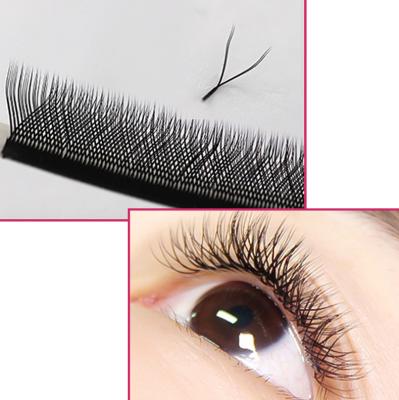 China Different Volume Natural Soft Silk Eyelash Extensions Matte Black Eyelash Extension Seller for sale