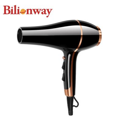 China Ionic 3 in 1 Custom Powerful Gun Rev Professional Brushless Motor Drayer Step Hair Dryer High Speed ​​Blow Bladeless One for sale