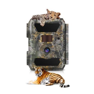 China Willfine Sifar Weather-Resistant Camera Hunting Trail Deer Forest Camera Wildkamera Trailcamera 4g/lte for sale