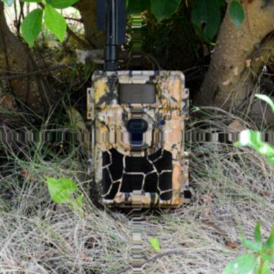 China Sifar LTE Manufacturer 1080P Video Recorder SMTP MMS GPRS FTP GSM 4G Weather-Resistant Hunting Camera for sale