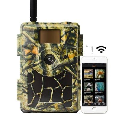 China Weather-resistant Cellular Willfine Factory Came Cheap 4g Game Canera Hunting Cameras for sale