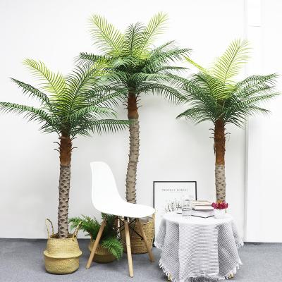 China Mini minimalist artificial palm tree supplier for sale