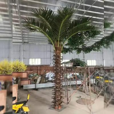 China Washington Minimalist Artificial Palm Trees For Sale for sale