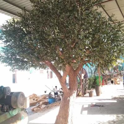 China Minimalist 12ft Customized Artificial Olive Trees Landscape Olive Tree for sale