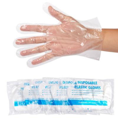 China Disposable Plastic PE Gloves Poly Food Service Gloves Food Gloves for sale