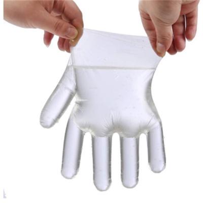 China Disposable Plastic Food Service Gloves Beauty Salon Crayfish PE Transparent Catering Gloves for sale