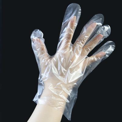 China Crayfish Disposable Plastic Food Service Gloves Transparent Food Grade PE Catering Gloves for sale