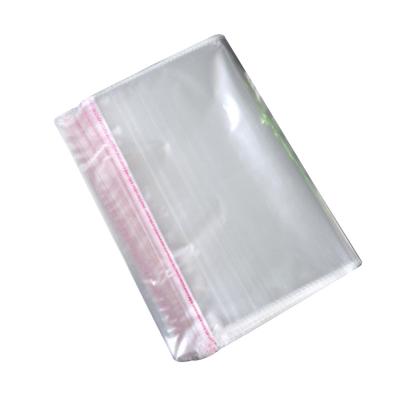 China Food Moisture Proof Fog Proof Plastic Self Seal Bags For Vegetable Packing for sale