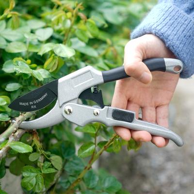 China High Quality Steel Anti-Slip Handle SK5 Garden Shears Fruit Picking Potted Branches Weed Household Pruner for sale