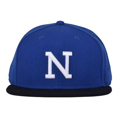 China COMMON Embroidered High Quality Women Designers Plain Hat Snapback Baseball Hats for sale