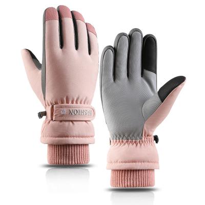 China New Hot Sale Winter Sports Training Gloves 3m Winter Customized Waterproof Cotton Ski Gloves Warm for sale