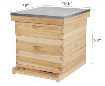 Κίνα Beekeeping equipment wood 10 frames/8 frame Langstroth Beehive /bee hive Box for sale προς πώληση