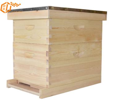 Κίνα 2020 hot sale beekeeping equipment 10 frames Australian beehive προς πώληση