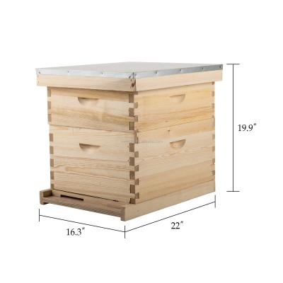 중국 Beekeeping tool newzealand pine 2 levels10 frame Langstroth beehive box 판매용